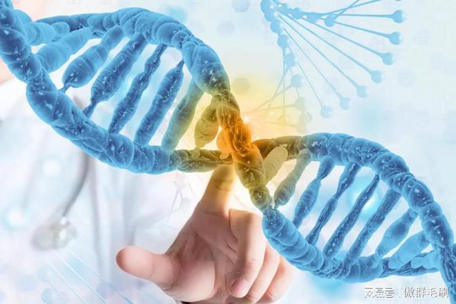 “刷” 出生物医药领域洁净新高度J9国际集团傲群医疗器械清洁刷：(图1)