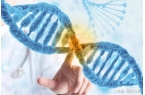 “刷” 出生物医药领域洁净新高度J9国际